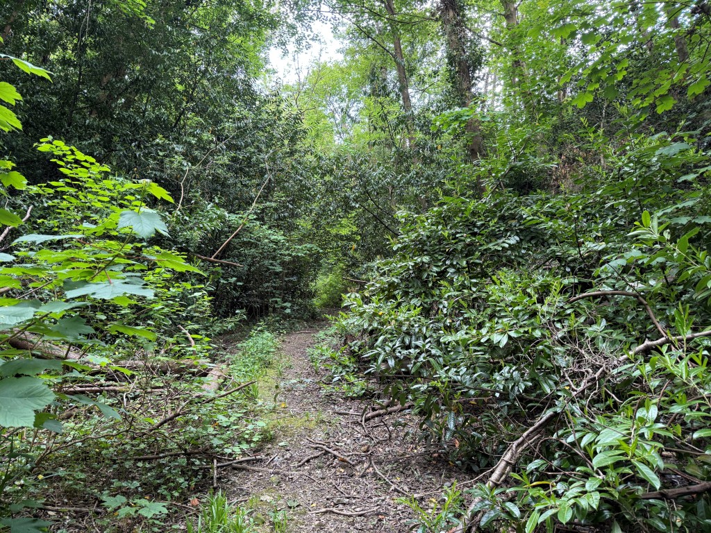 Lot: 37 - JUST UNDER FIVE ACRES OF FORMER RAILWAY LAND WITH POTENTIAL - Path through Land